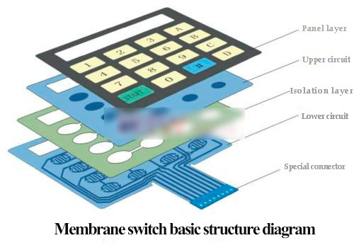 Zhi Dexing explains the internal structure of membrane switch for you